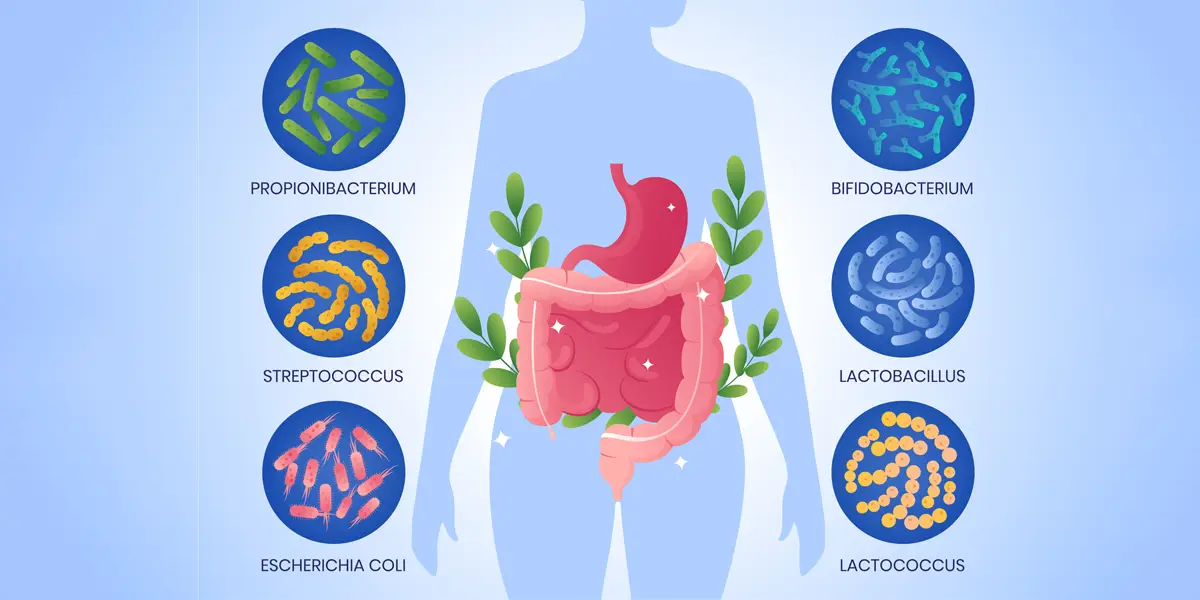 ارتقـاء سـلامتي عمومي و كاهش بار بيماريهاي مزمني